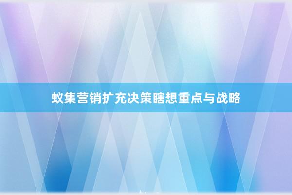 蚁集营销扩充决策瞎想重点与战略