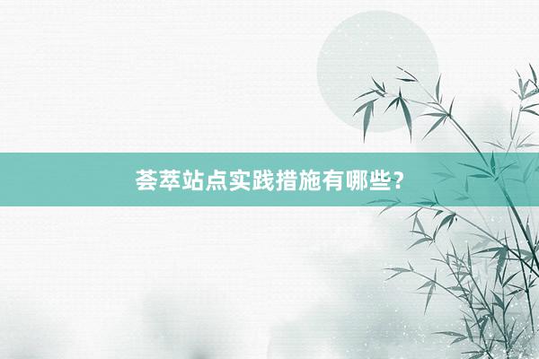 荟萃站点实践措施有哪些？