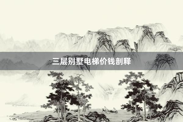 三层别墅电梯价钱剖释