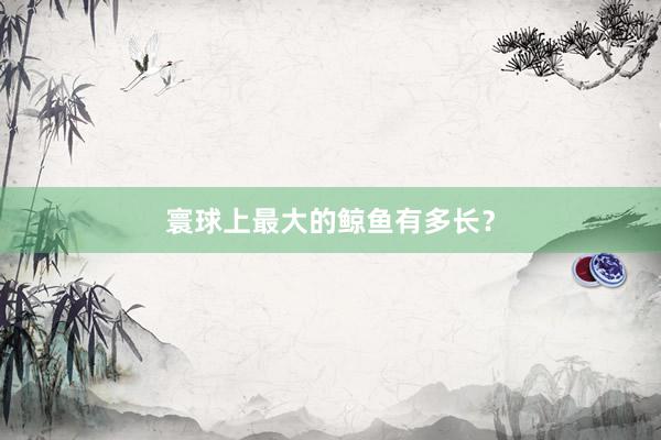 寰球上最大的鲸鱼有多长？