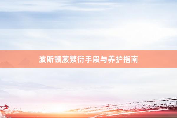 波斯顿蕨繁衍手段与养护指南